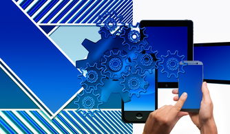 Leyu Sport下载-中国篮球联赛品牌建设及粉丝经济研究,国内篮球职业联赛