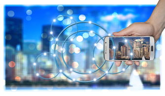 乐鱼体育(中国)官方网站-中国篮球联赛品牌建设策略与粉丝经济发展路径研究,篮球品牌市场占有率