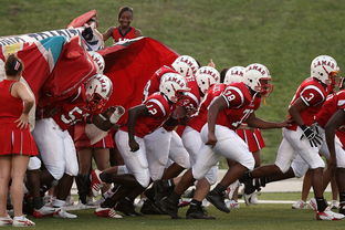 Leyu Sports (乐鱼体育)-全国城际定向越野赛青少年组吸引众多参赛者，全国定向越野锦标赛