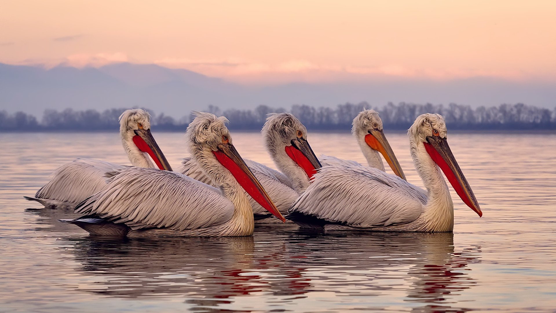 乐鱼电竞在线平台-青少年体育参与的社会支持网络构建策略，青少年体育参与的社会支持网络构建策略包括