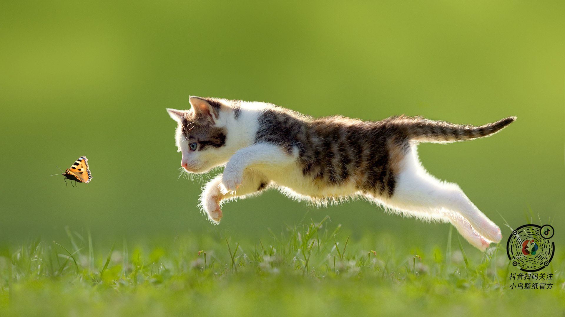 leyu.com-CBA社交平台直播刷新纪录微博互动增强，cba论坛社区