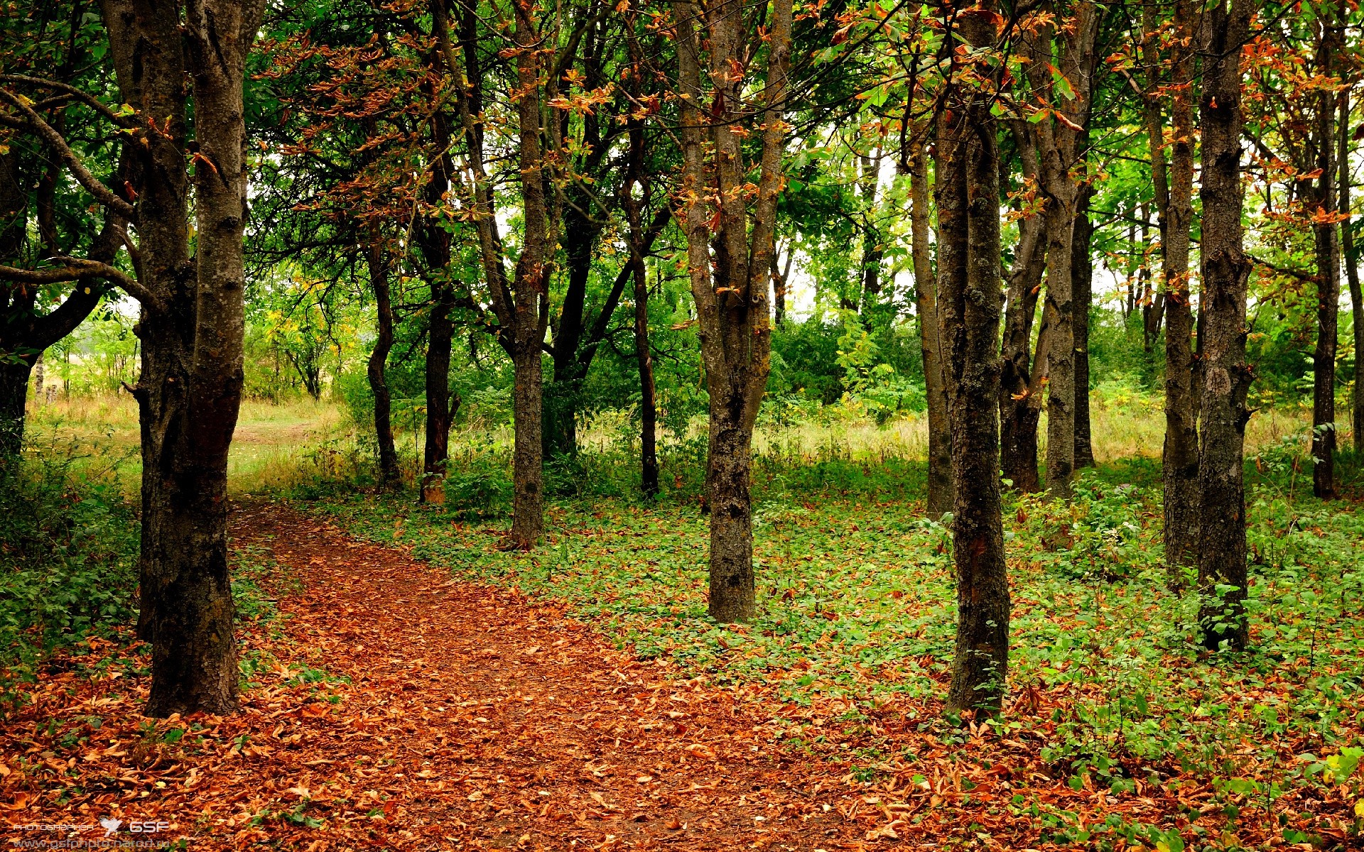 乐鱼电竞-“高新区全民健身馆:短柄墙球赛场,一拍定胜负,脑力与技巧谁更强?”