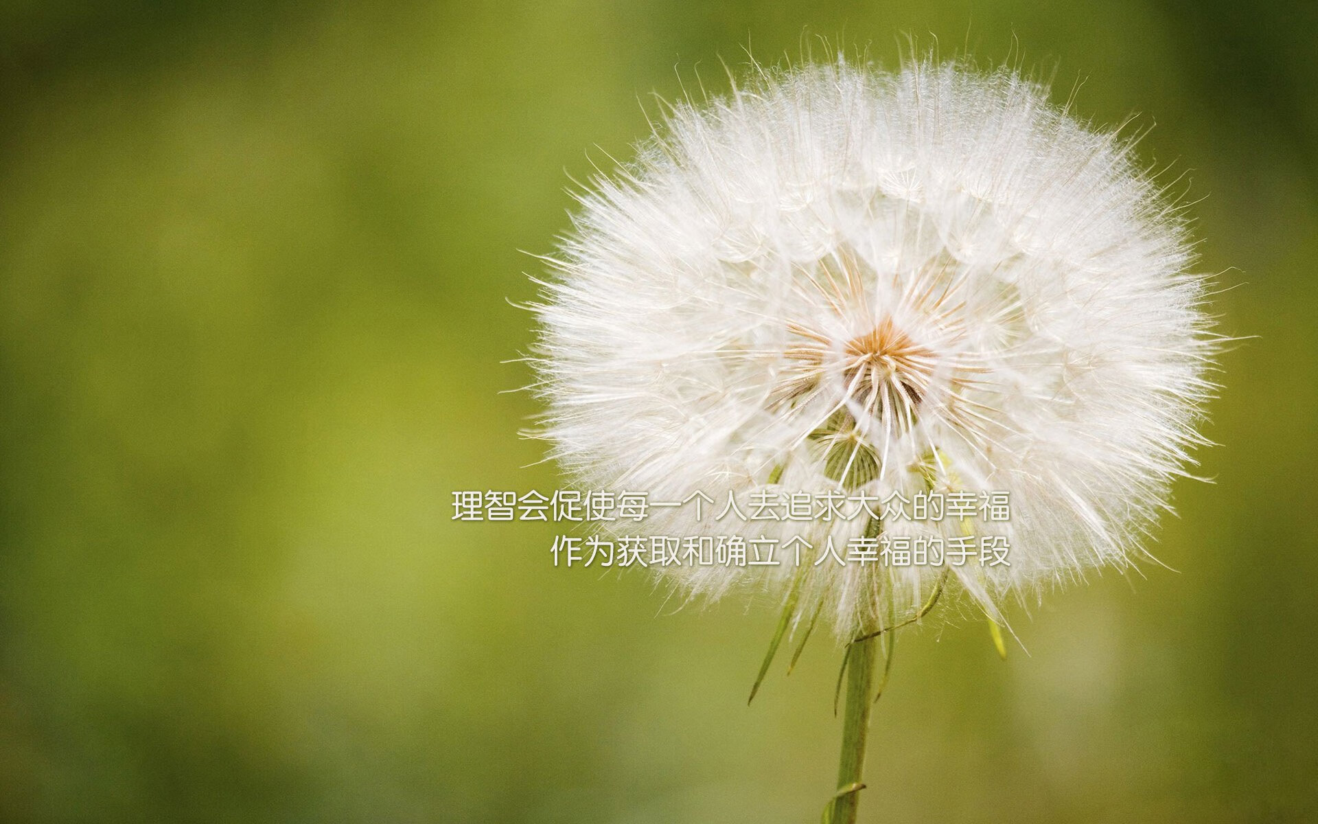 LEYU乐鱼体育官方网站-东亚杯中国青年队惨败 球迷期待重振旗鼓,中国队东亚杯冠军