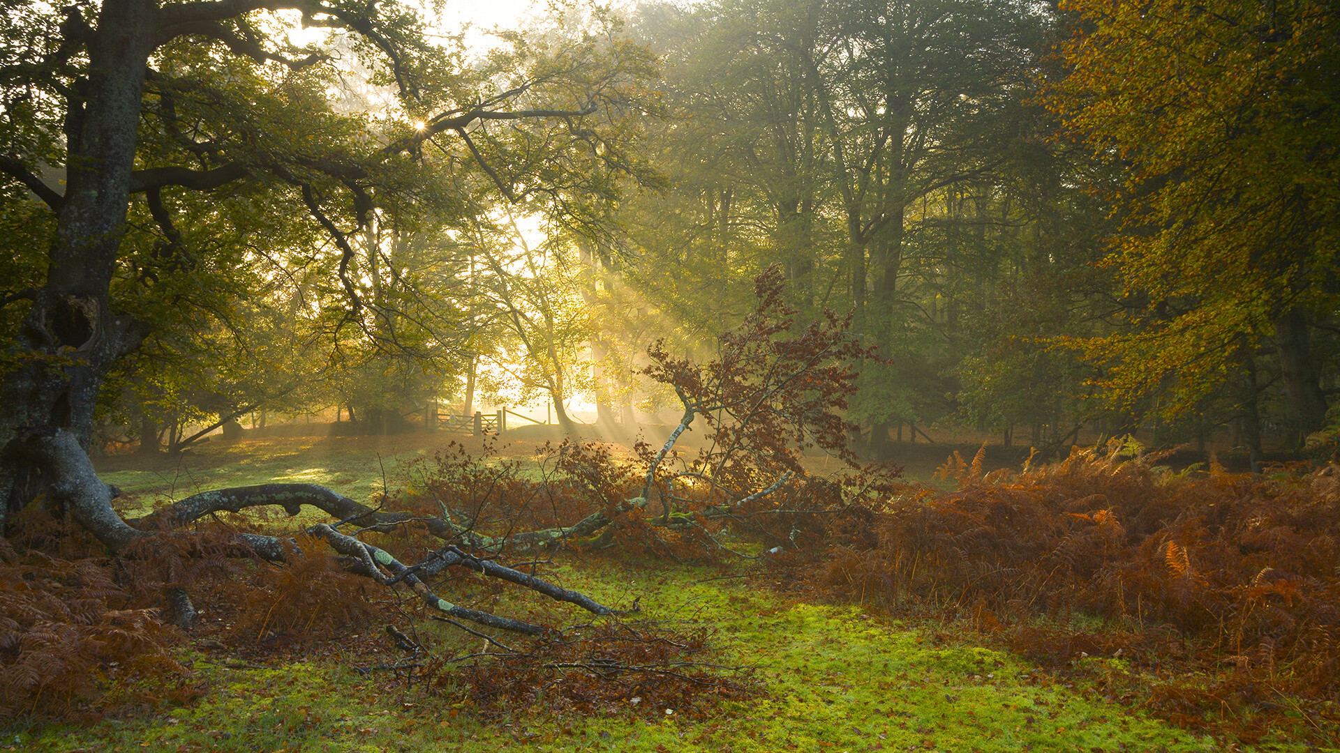 乐鱼vip-中国男篮全队凝聚力强 打出团队篮球，中国男篮最团结