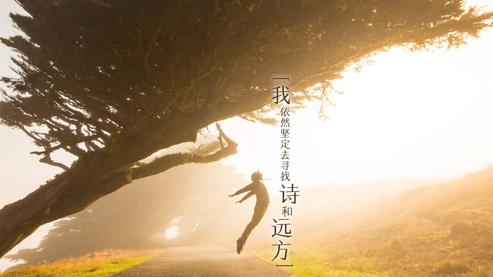 乐鱼体育App下载-亚特兰大高强度压迫赢得场上主动,亚特兰大进攻太强了