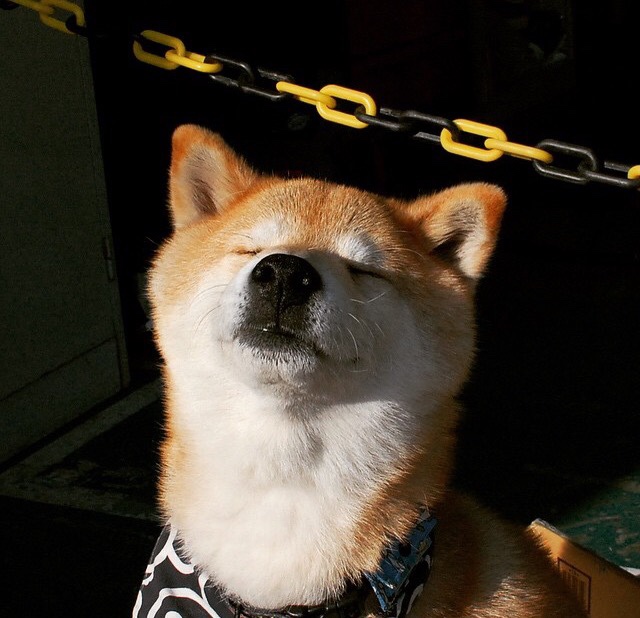 Leyu Sports (乐鱼体育)-体育文创产品设计大赛激发学生创意灵感，体育文创项目