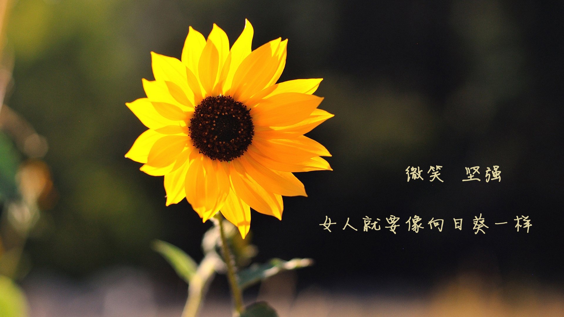 Leyu Sports (乐鱼体育)-体育文创产品设计大赛激发学生创意灵感,体育文创项目