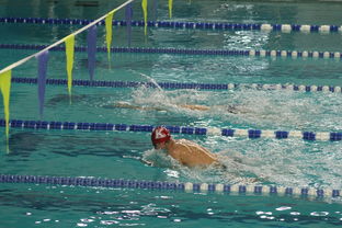 乐鱼体育平台app下载-全国游泳冠军赛新星频出成绩突破预期,全国游泳冠军赛2021成绩