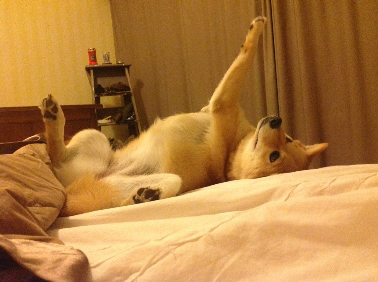 leyu.com-快节奏体系中小前锋的攻防作用变化分析，小前锋教学