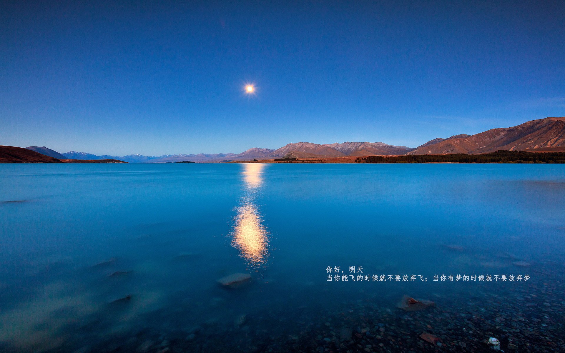 leyu乐鱼-瑞典乒乓团队在2024年混合团体世界杯中扮演关键角色，瑞典乒乓球世乒乓赛冠军争夺赛