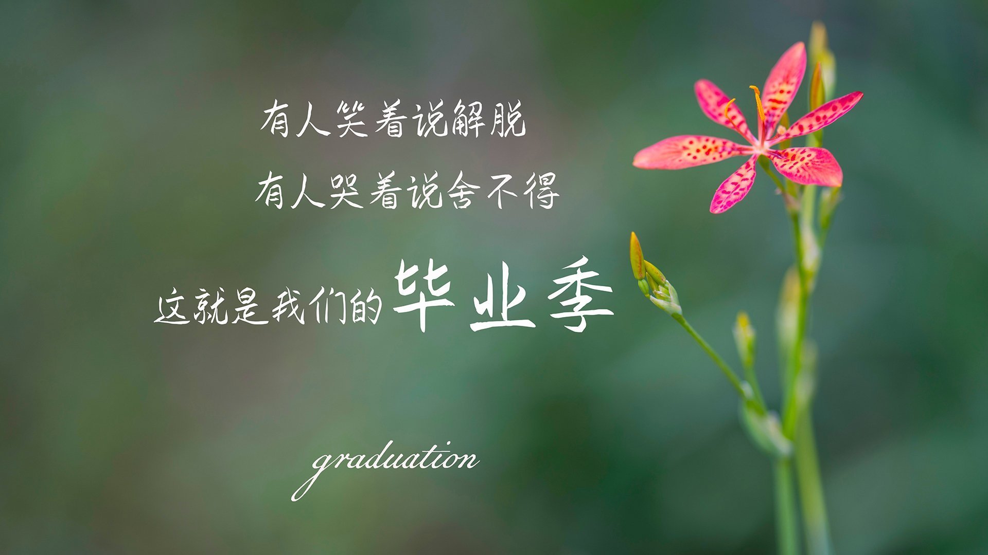 乐鱼电竞在线平台-高压体系下失误诱发失球是否明显上升，高压线路失压