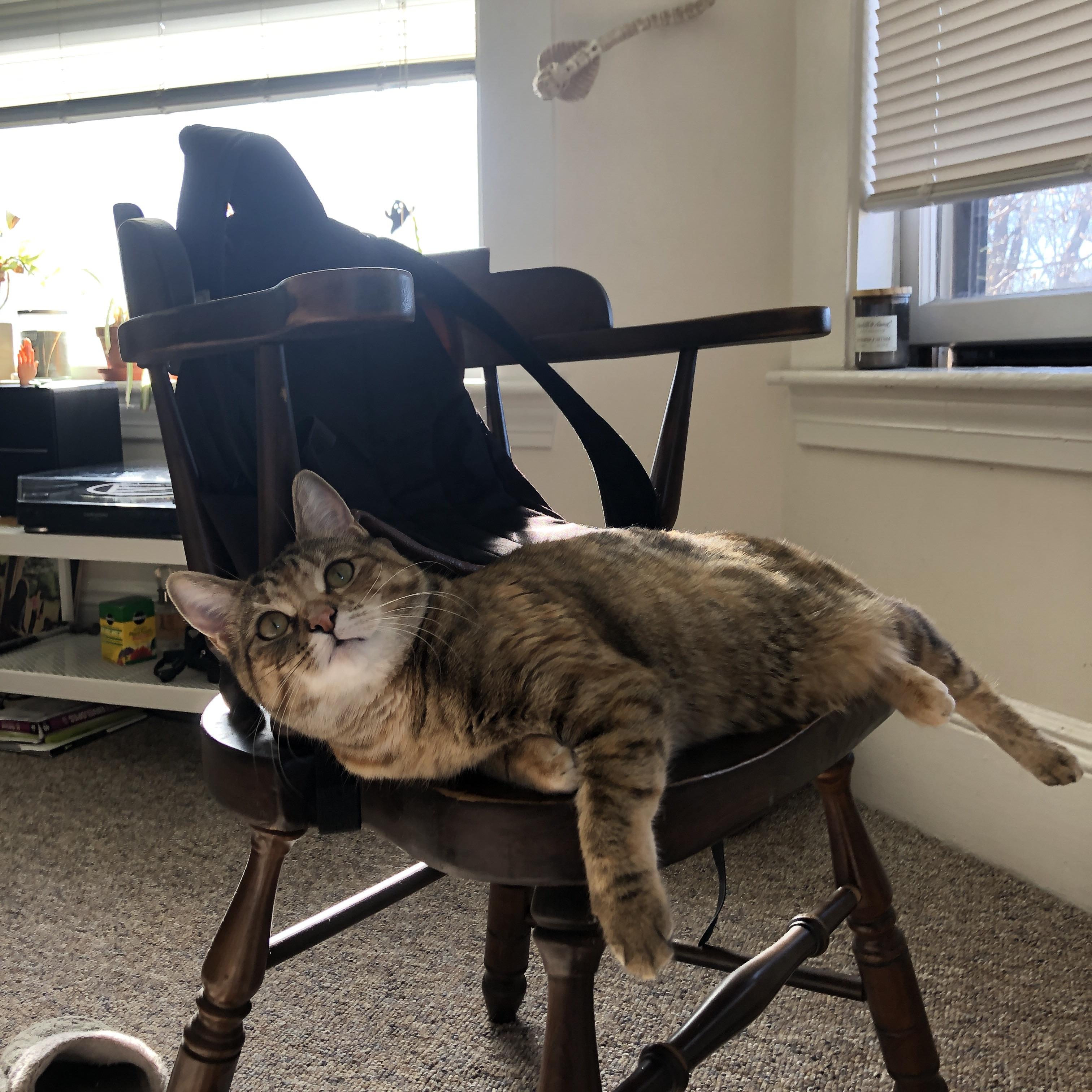 LEYU SPORTS中国官方网站-“亚戈·卡尔曼:阿根廷橄榄球的新希望,未来值得期待”