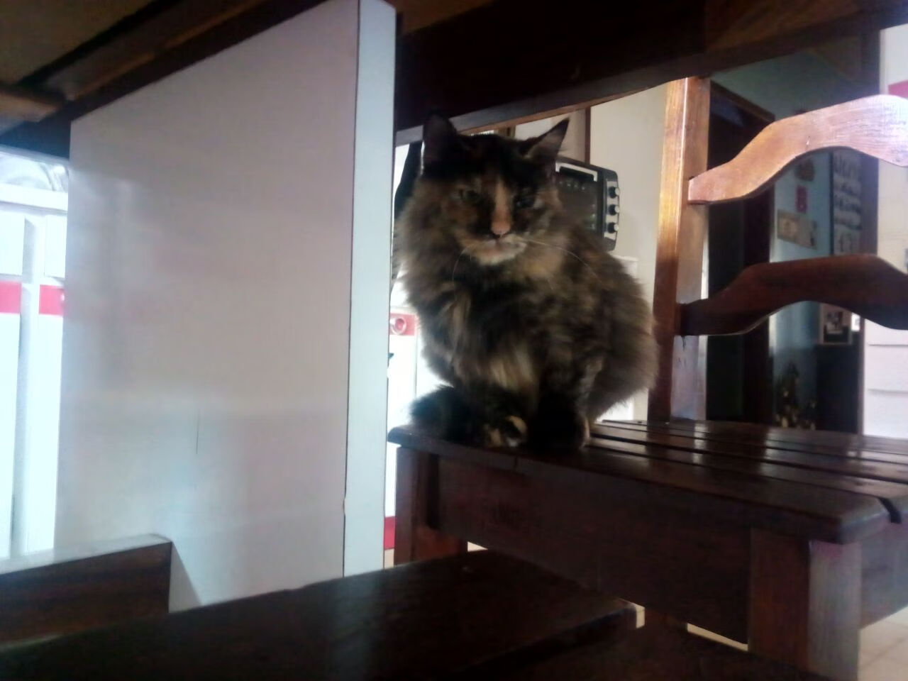 LeyuSports-“尼古拉斯·桑特基的冷静头脑与决策力,为美洲狮队带来胜利的钥匙”