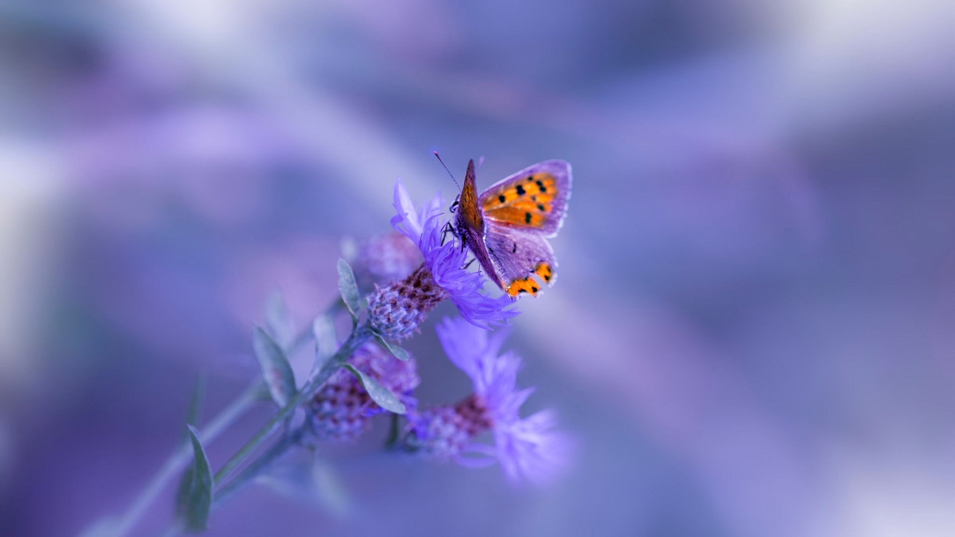 乐鱼电竞在线平台-世界杯瞬间激荡:每场比赛都值得铭记,世界杯的精彩瞬间